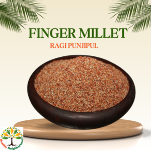 FINGER MILLET(RAGI Punjipul)